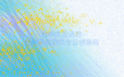 臺州優(yōu)友舉辦首屆用友老客戶服務年會